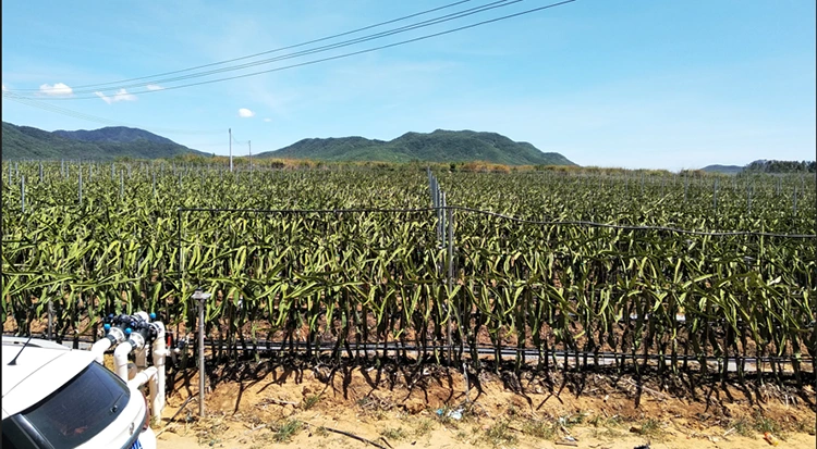 3 phase 380V Built in Bypass Soft Starter 100HP 150A